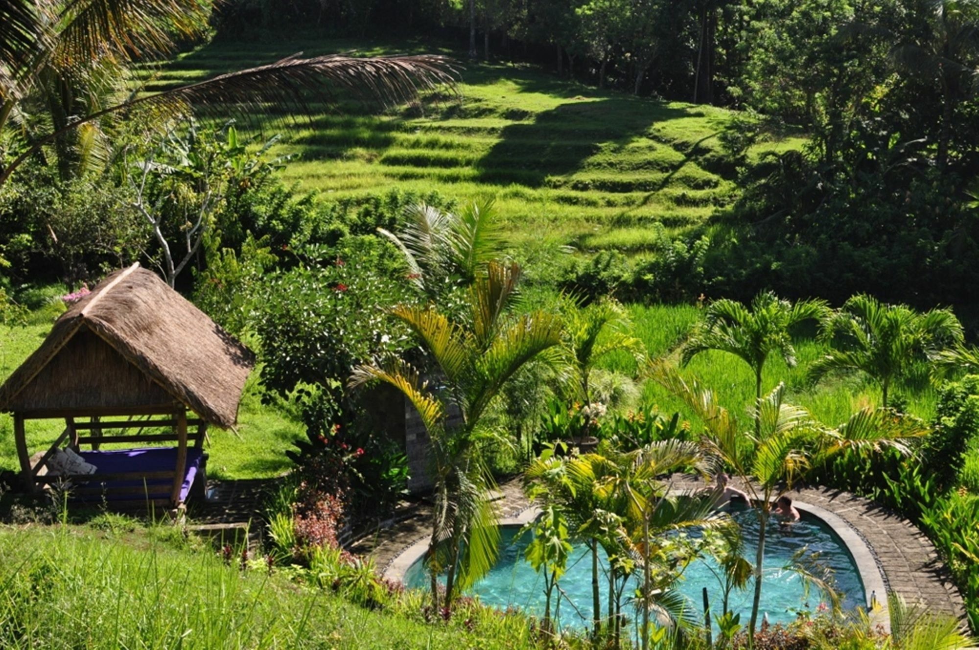 Bed & Breakfast Bali Lush