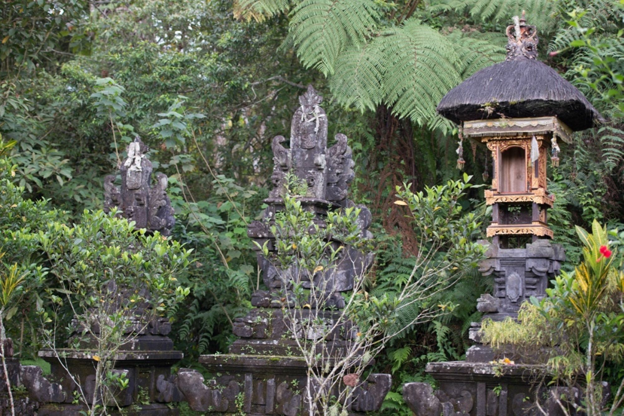 Bali Lush Bed & Breakfast 3*