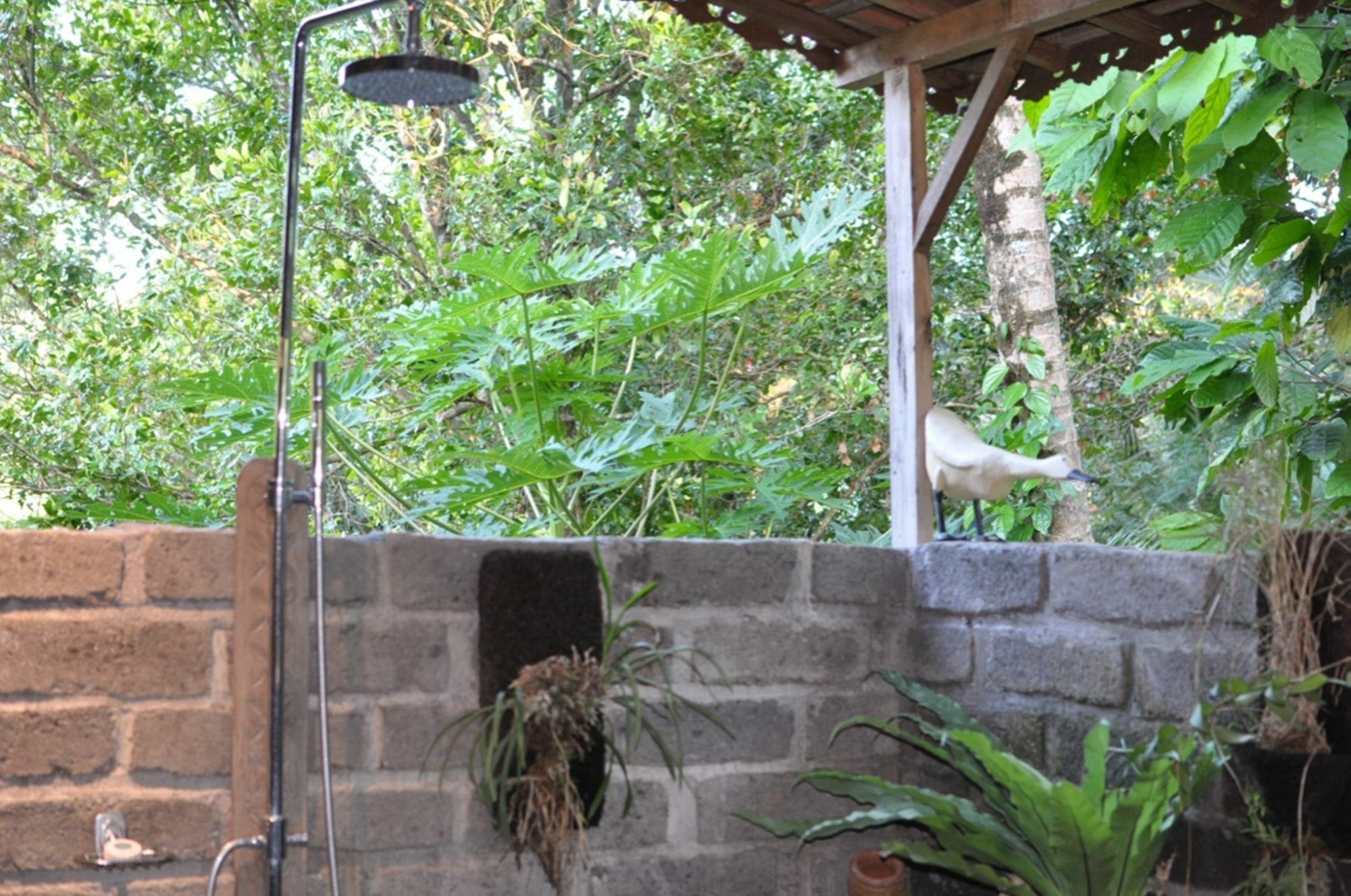 Bali Lush 3*
