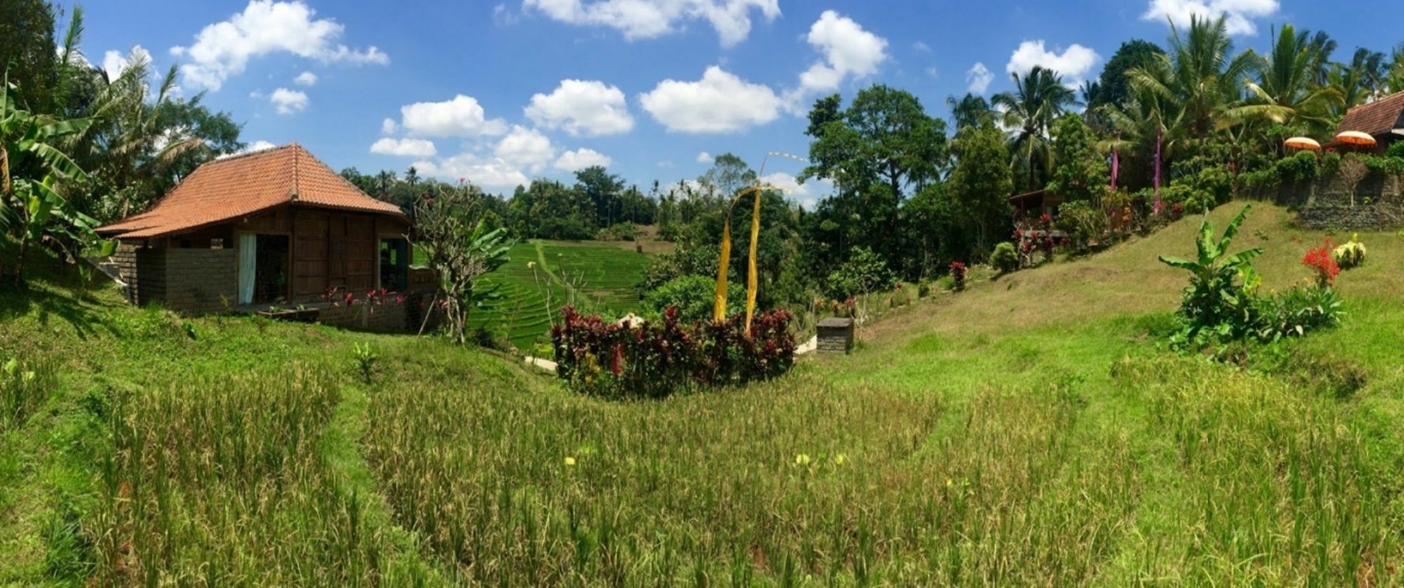 Bali Lush Bed & Breakfast
