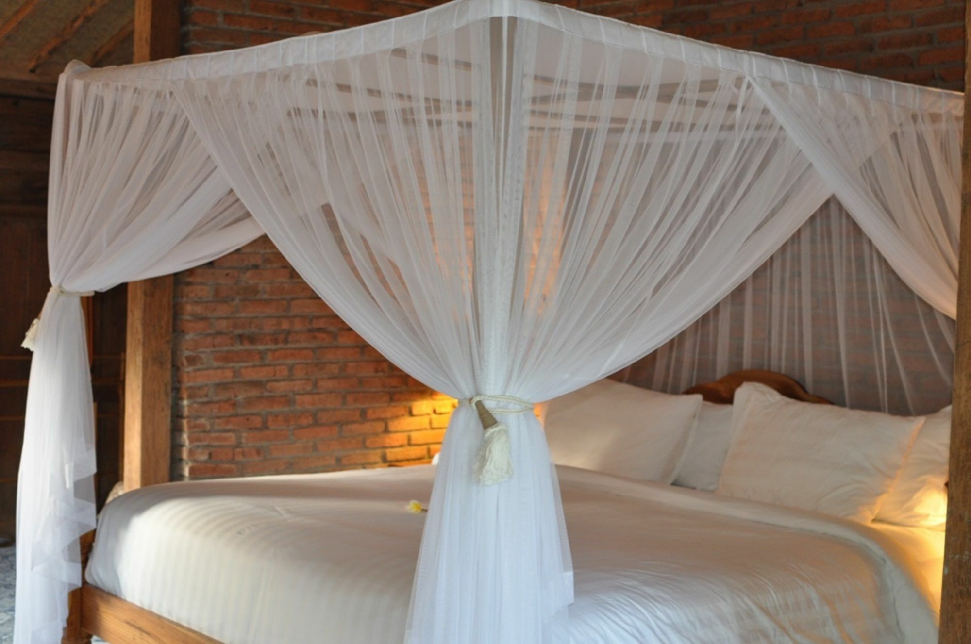 Bali Lush Bed & Breakfast 3*