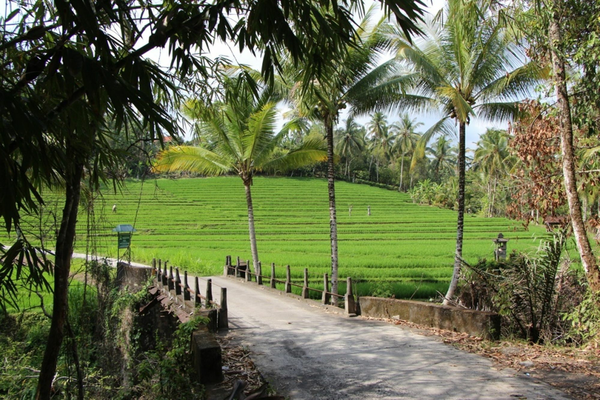 Bed & Breakfast Bali Lush 3*