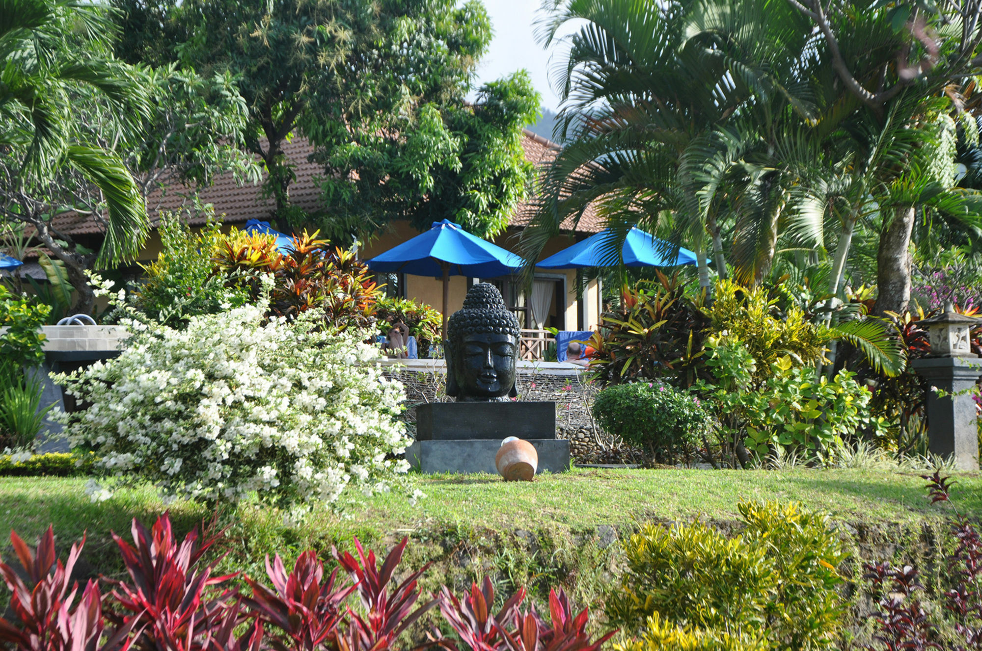 Puri Mangga Sea View And 4* Lovina (Bali)