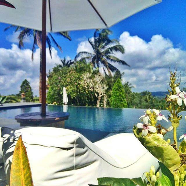 Sanda Butik Holiday park 3*