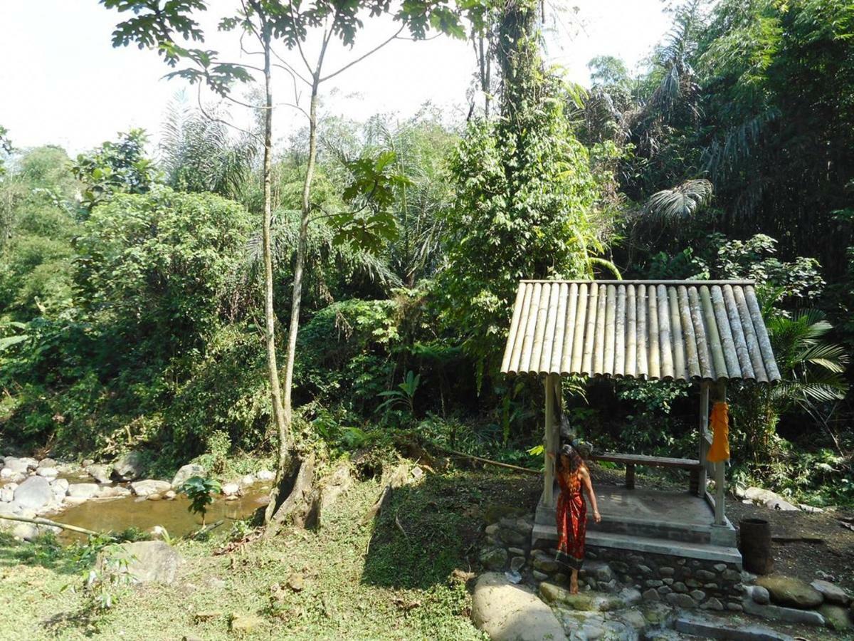 Homestay Tegal Jero Jatiluwih