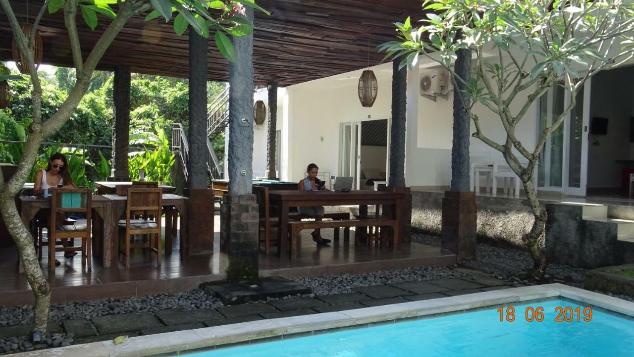Guest house White Dove 3*