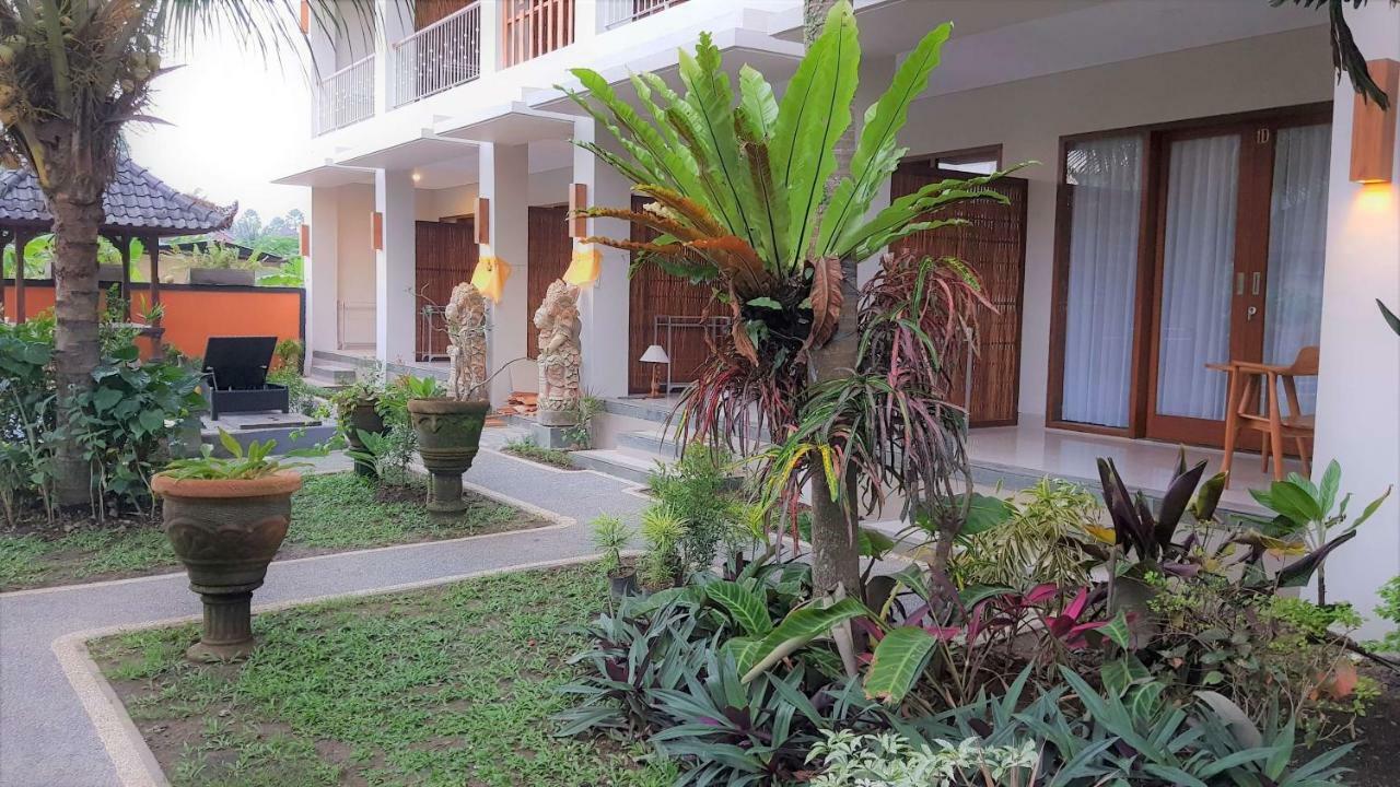 Swan Guest house