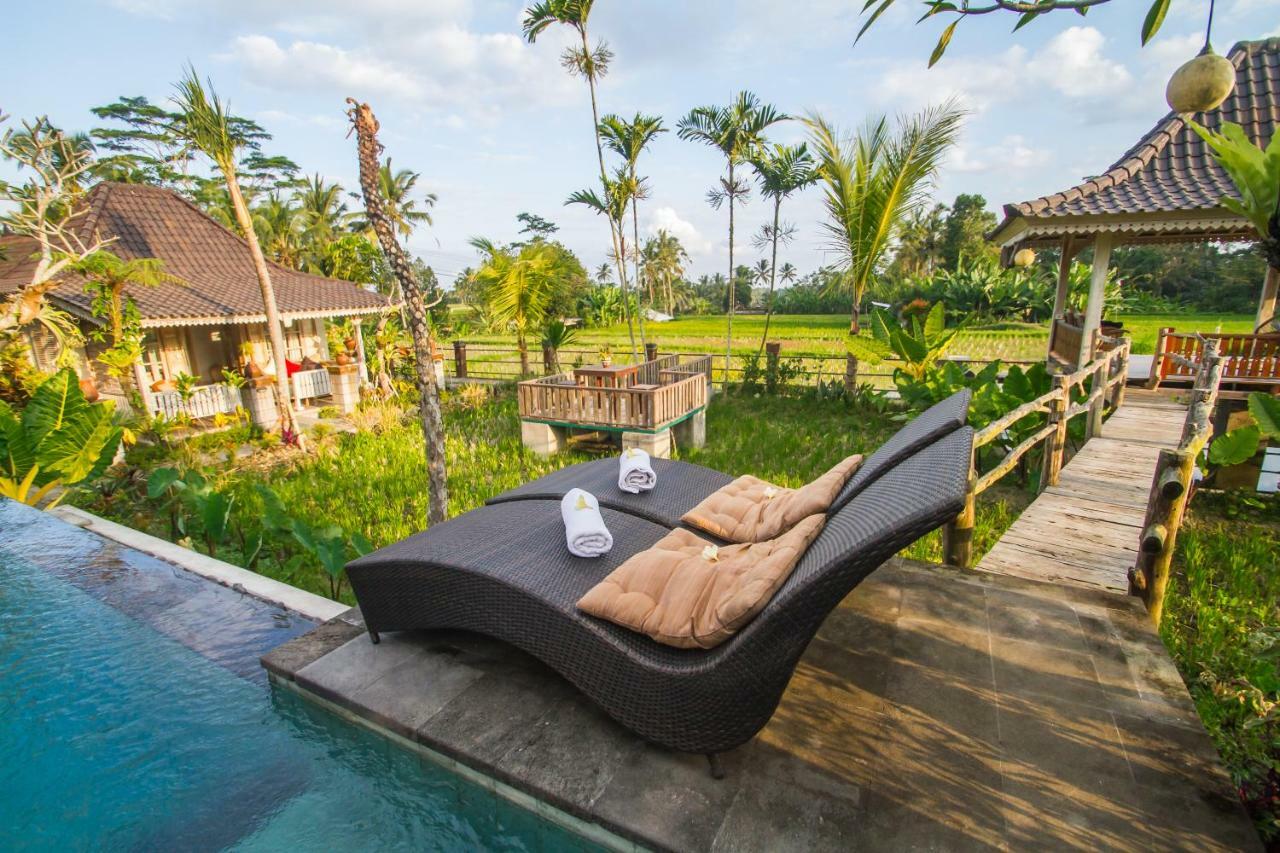 Uma Caming & Gym Guest house