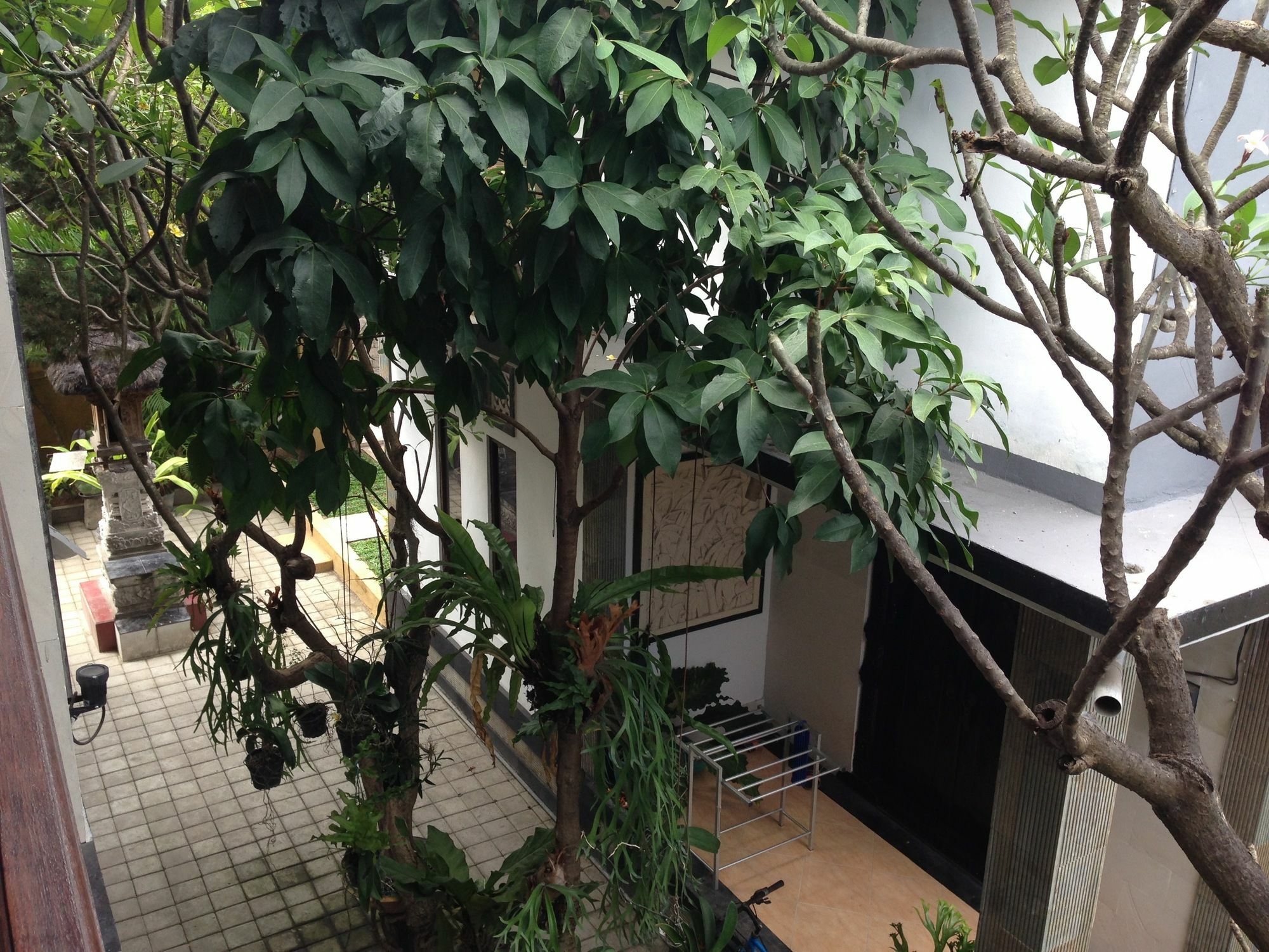 Guest house Double N Bali