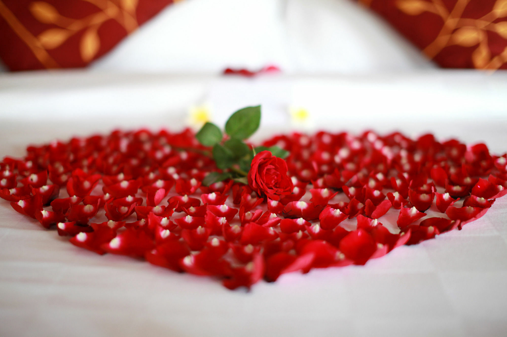 Nirwana & Resort