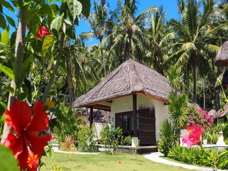 Palm Garden & Bali Amed (Bali)