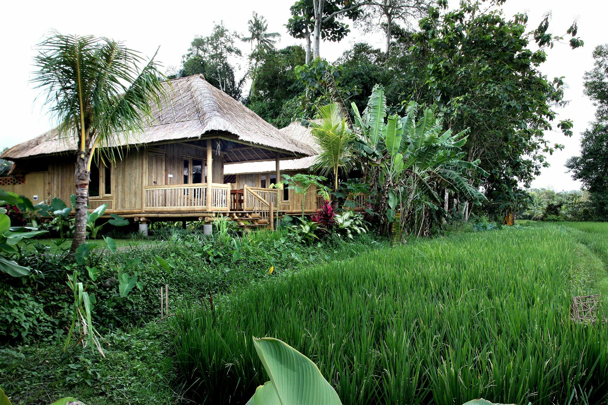 Puri Taman Sari 3*