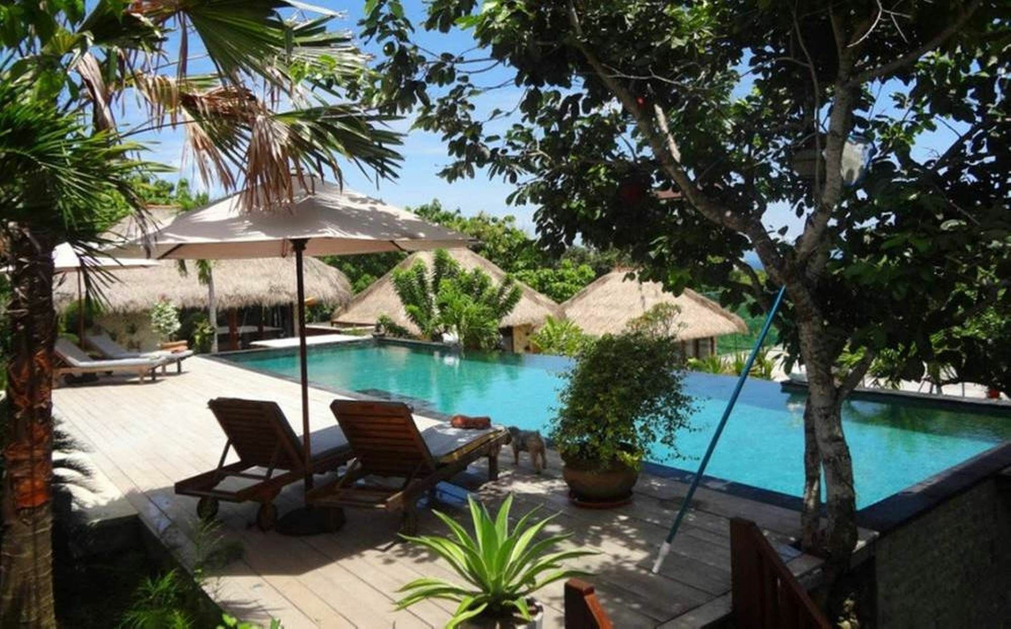 Anjing Guest house