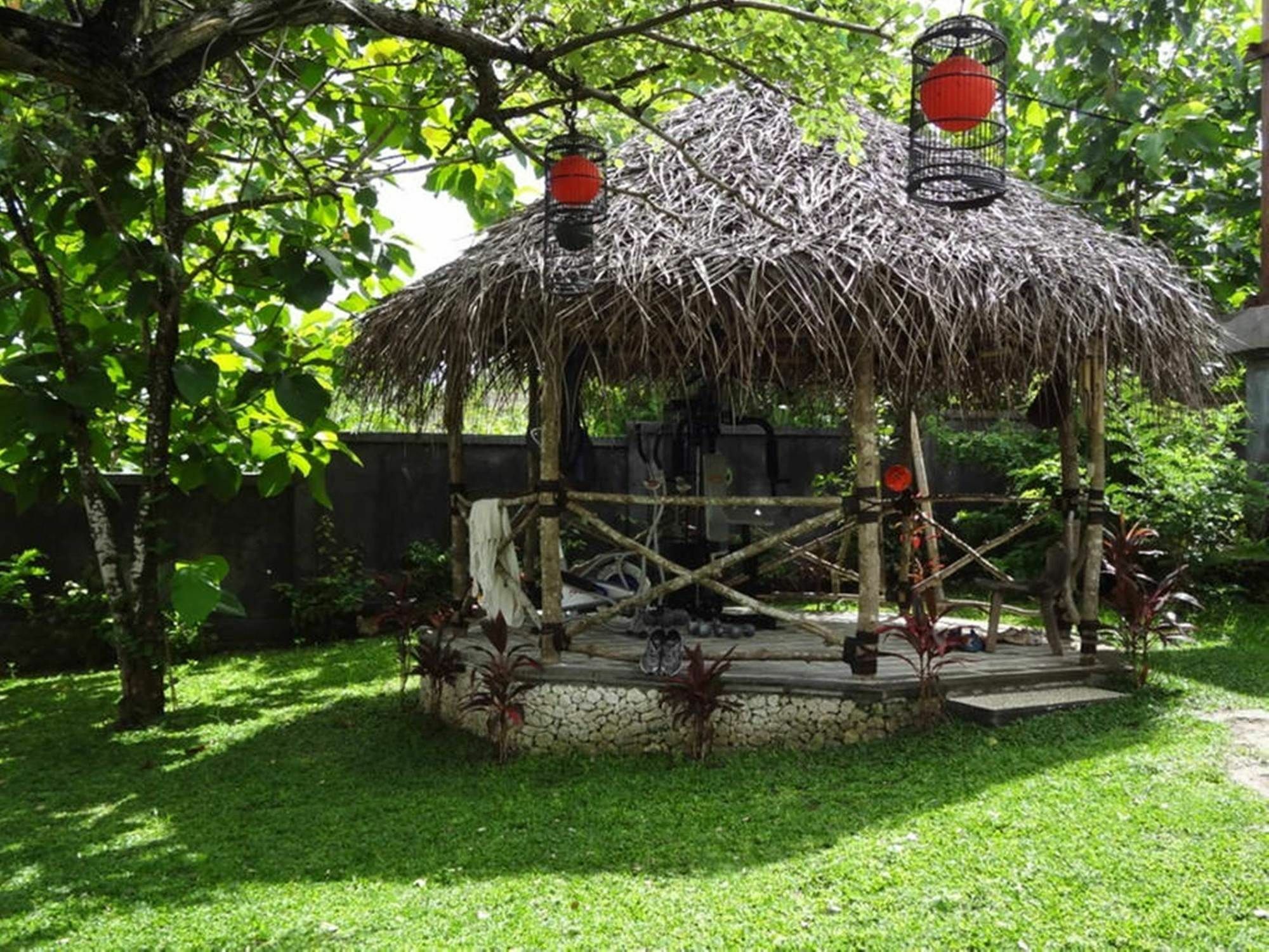 Anjing Nusa Dua (Bali)