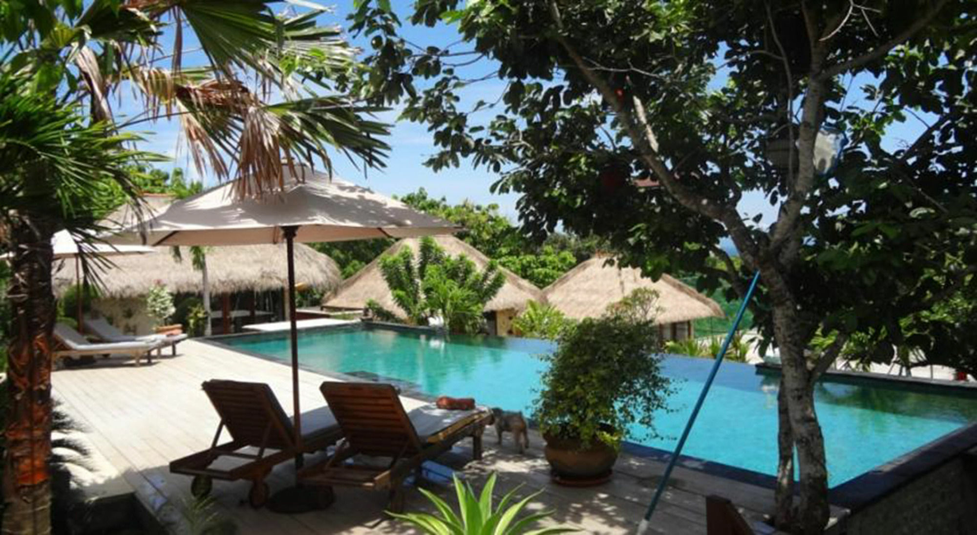 Anjing Guest house Nusa Dua (Bali)