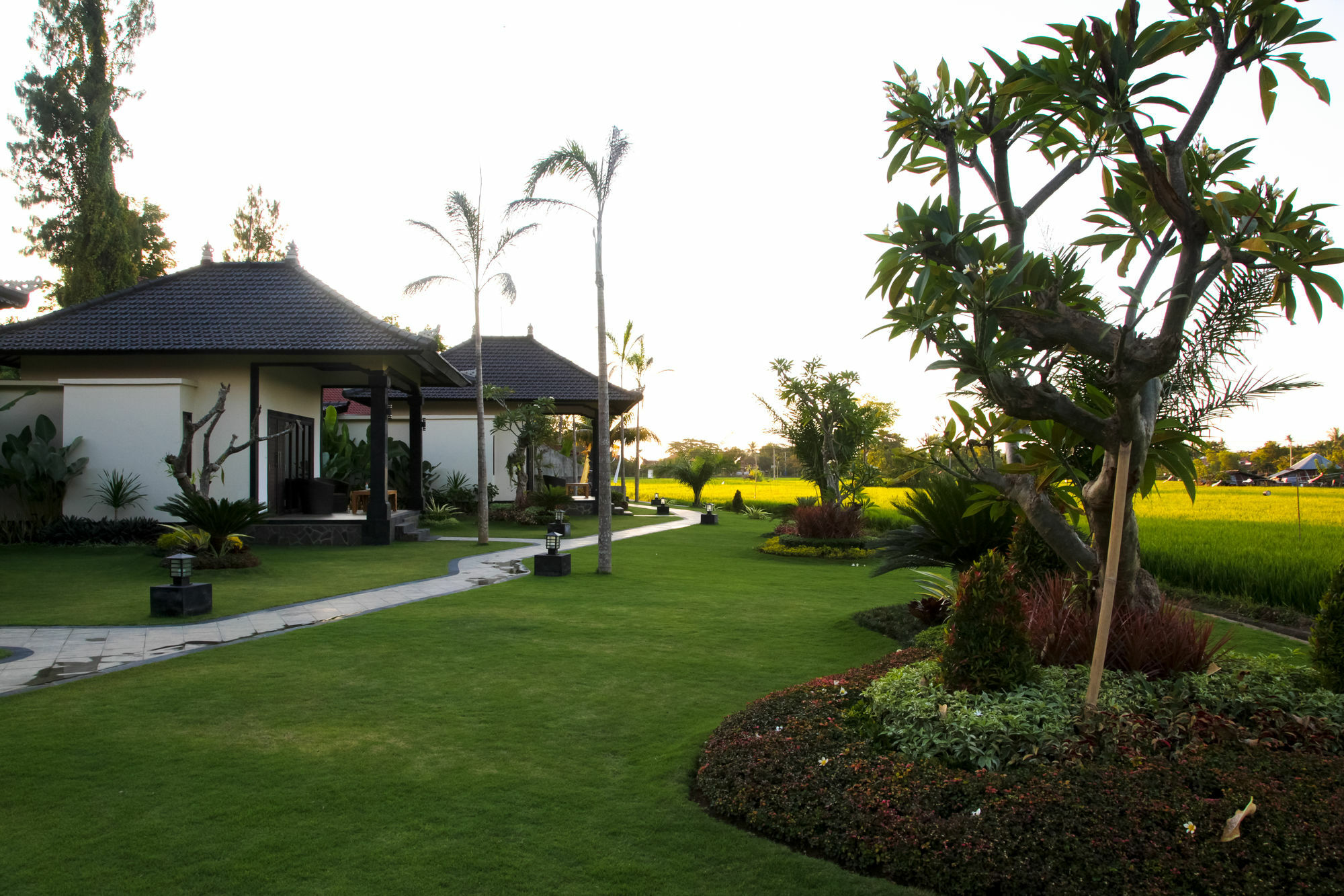 Pandawa Village Lovina (Bali)