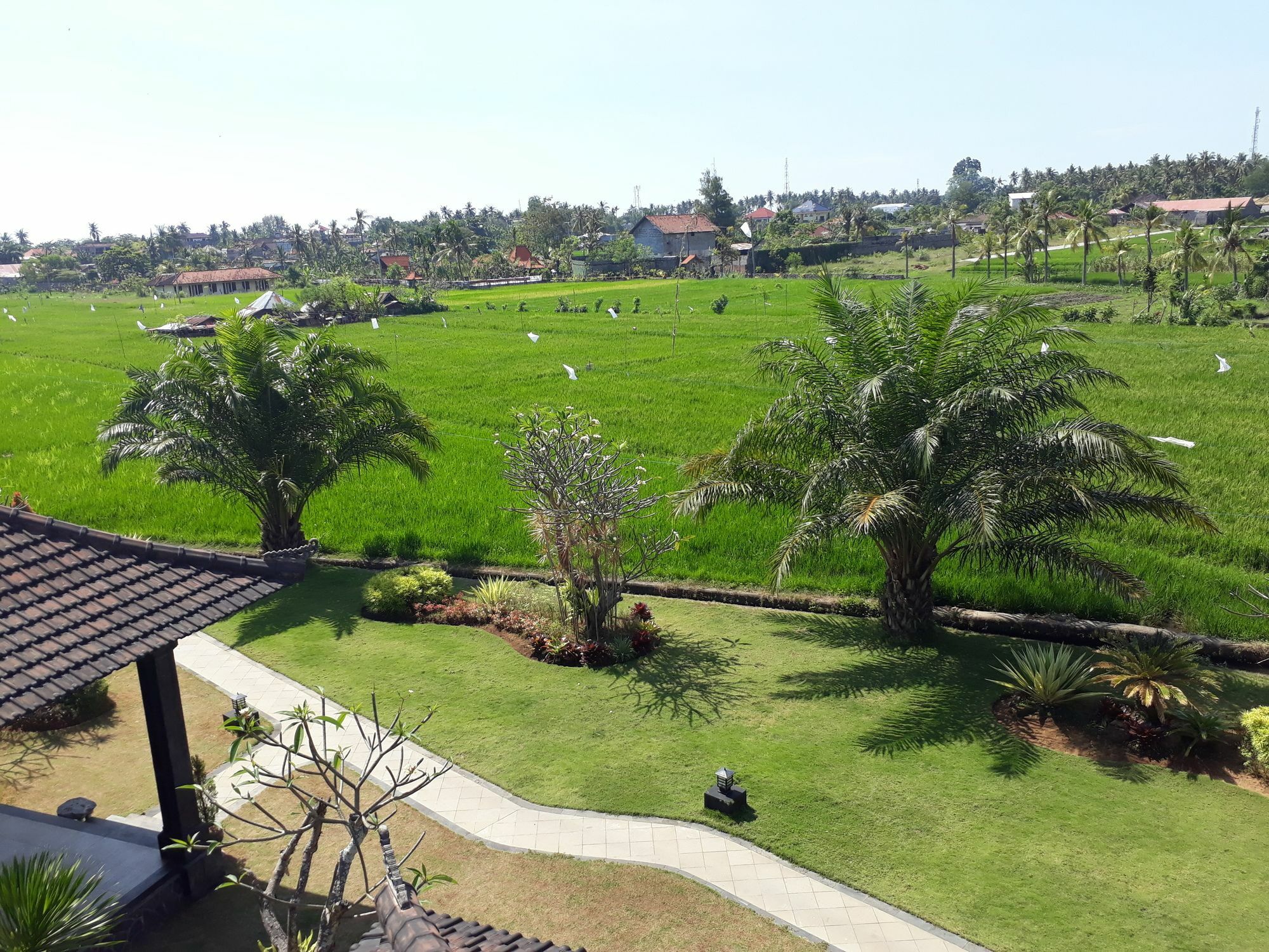 Pandawa Village Lovina (Bali)