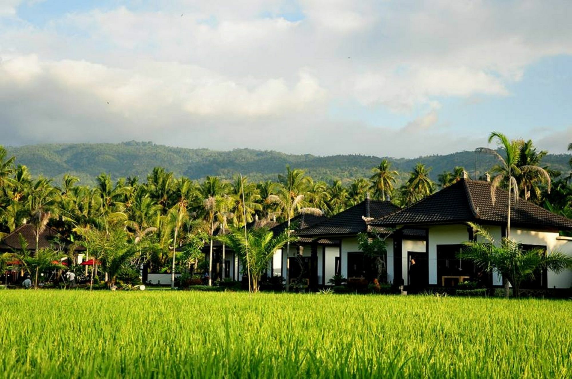 Pandawa Village Lovina (Bali)