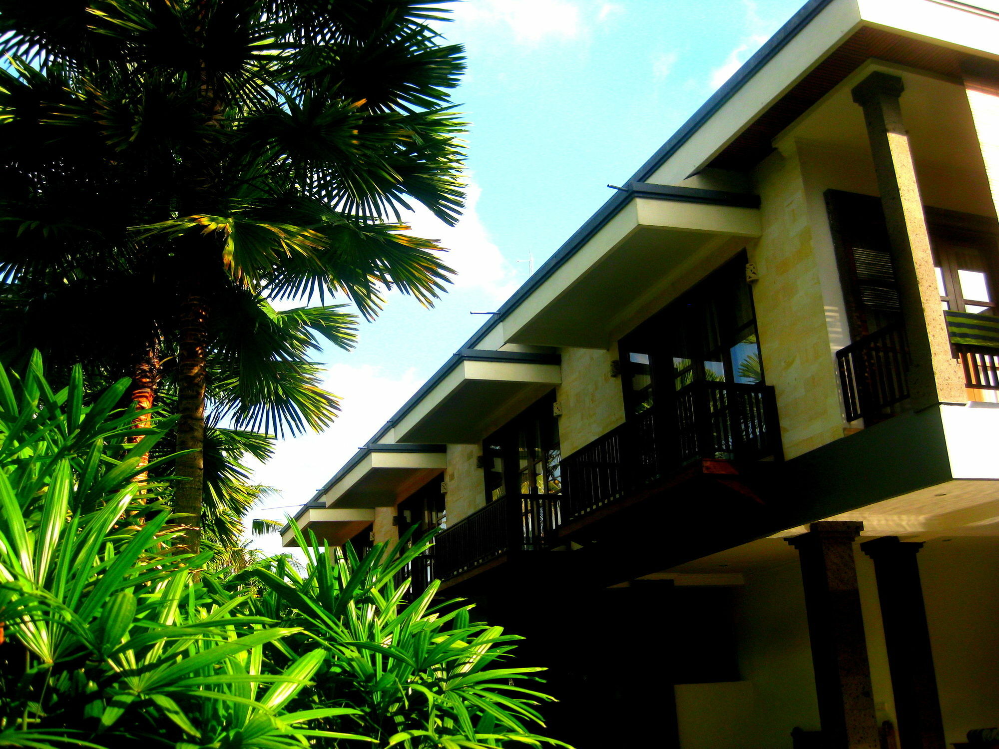 Villa Sonia Bisma Hotel 3*