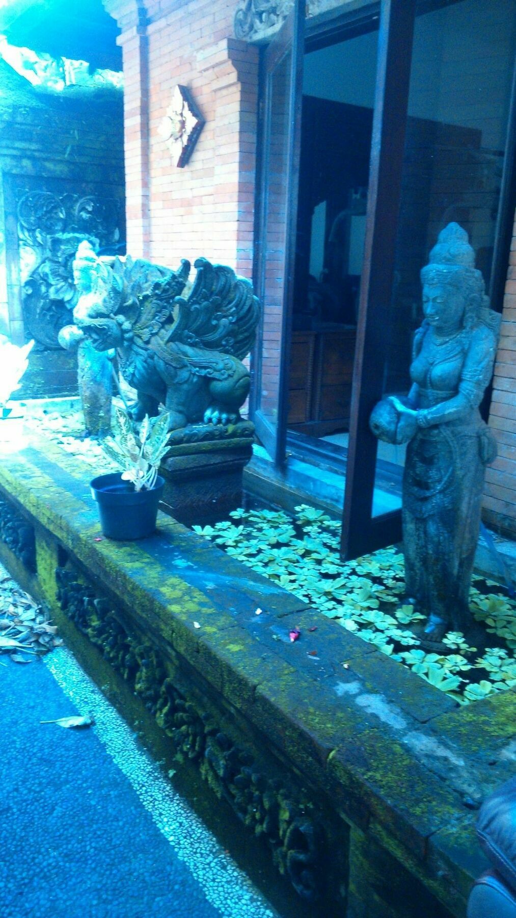 Guest house Fibra Ubud (Bali)