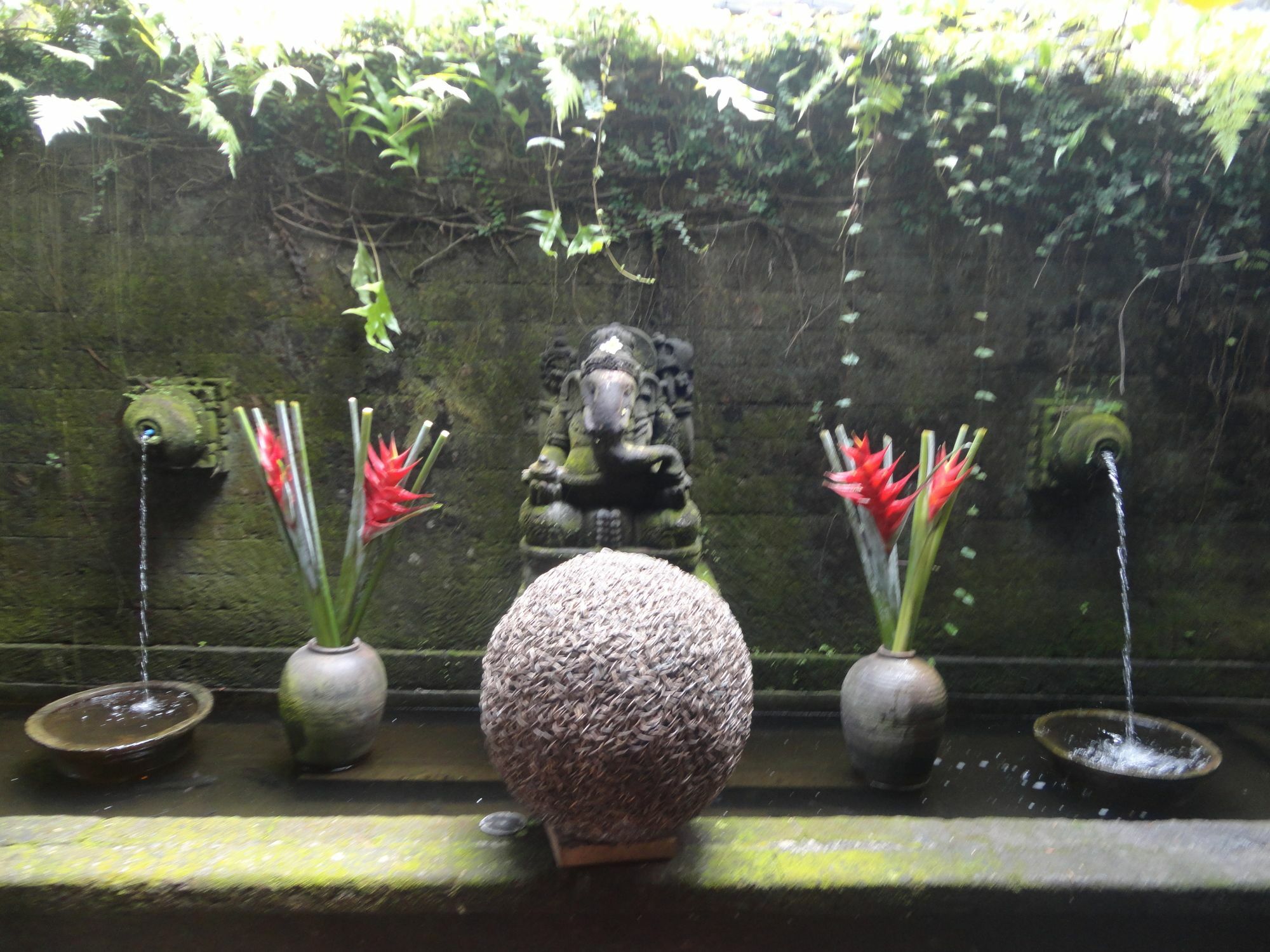 Fibra Guest house