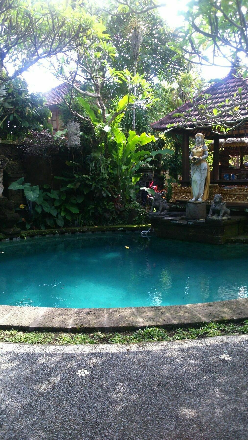 Fibra Guest house Ubud (Bali)