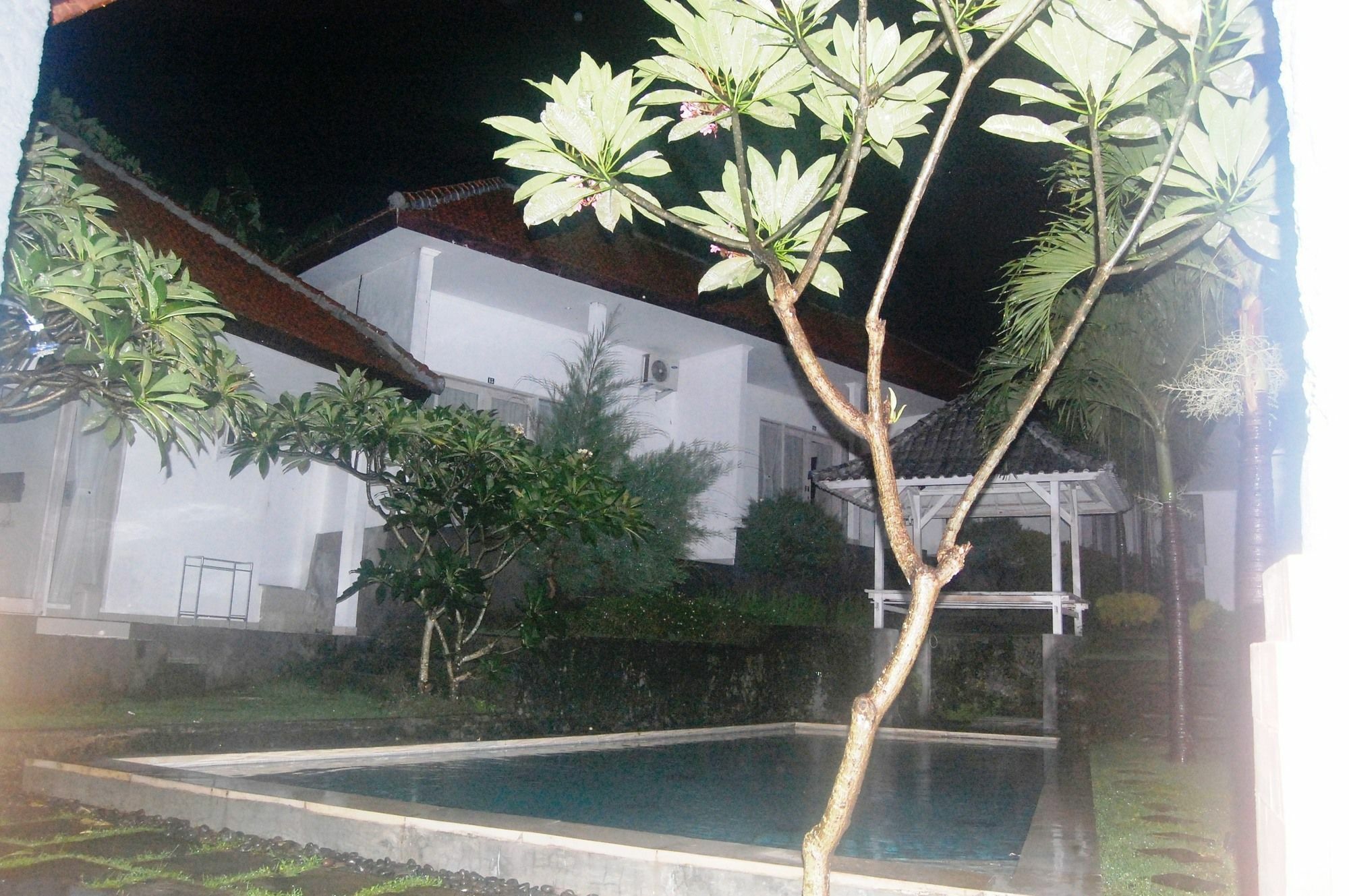 White Dove 3* Dalung (Bali)