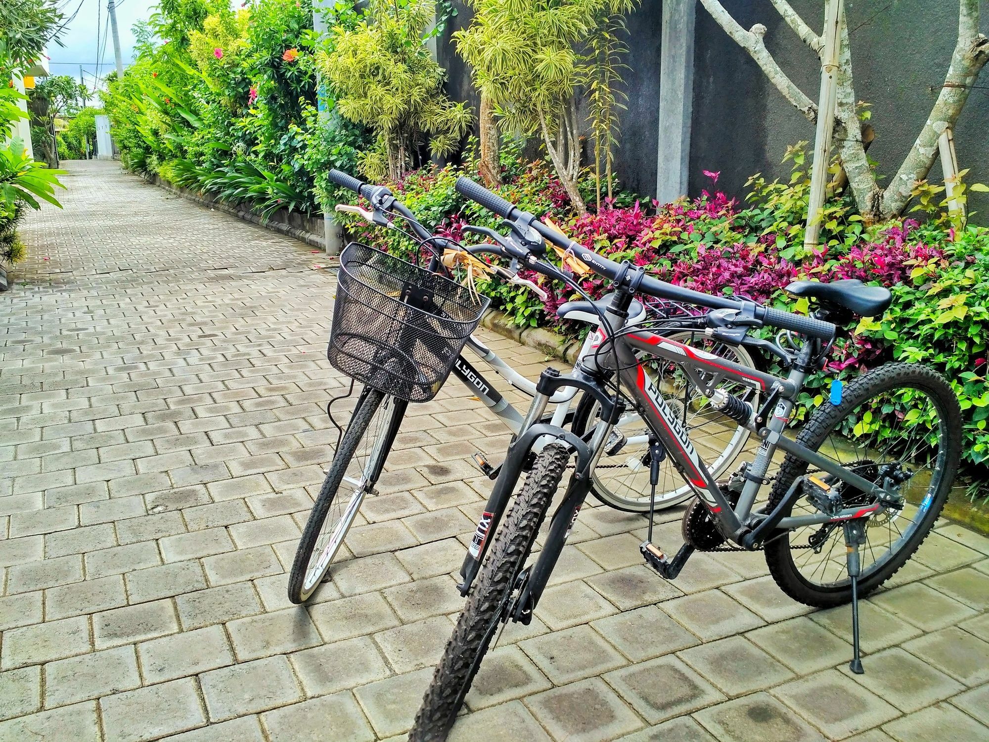 Amelle & Residences Canggu (Bali)