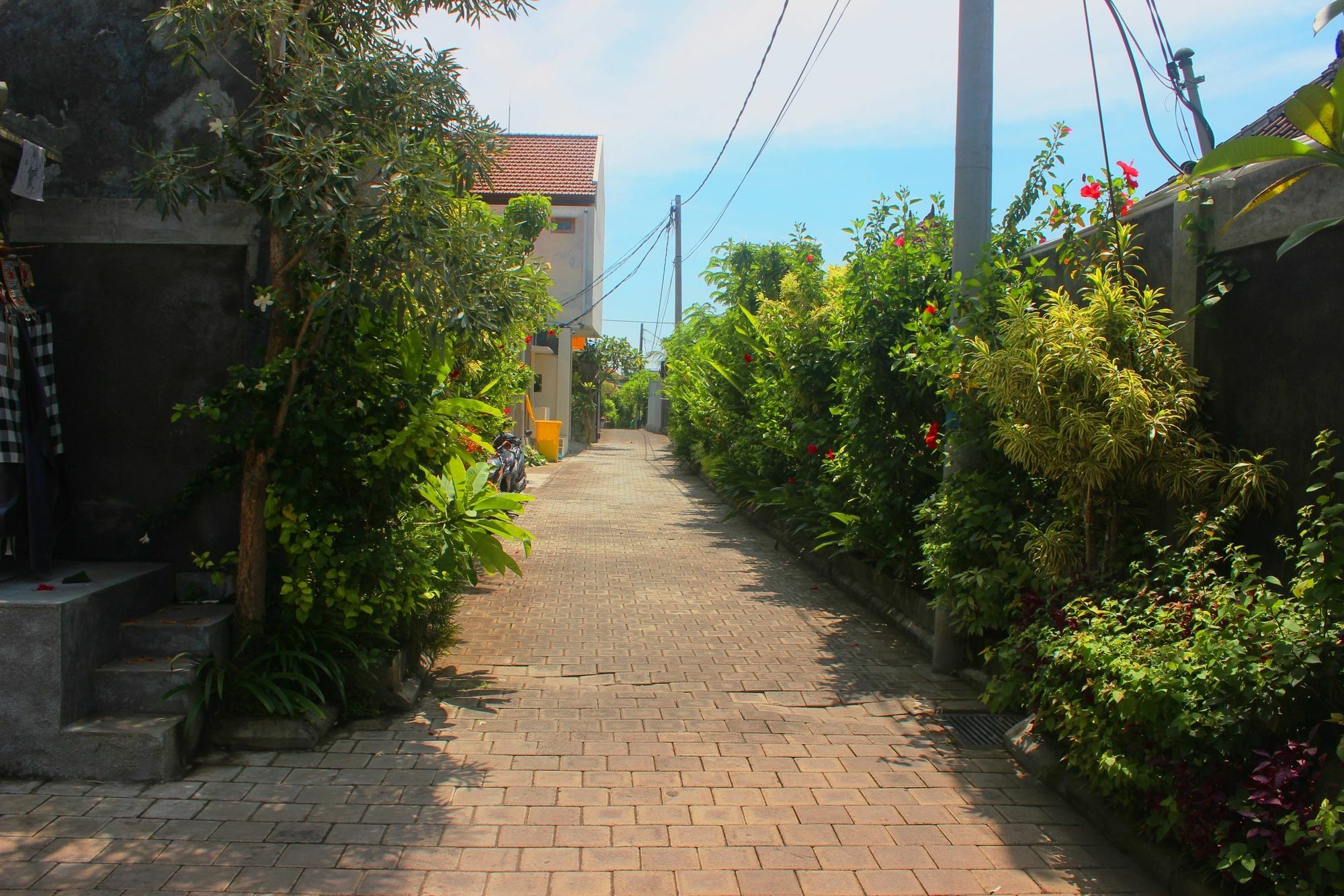 Amelle & Residences Canggu (Bali)