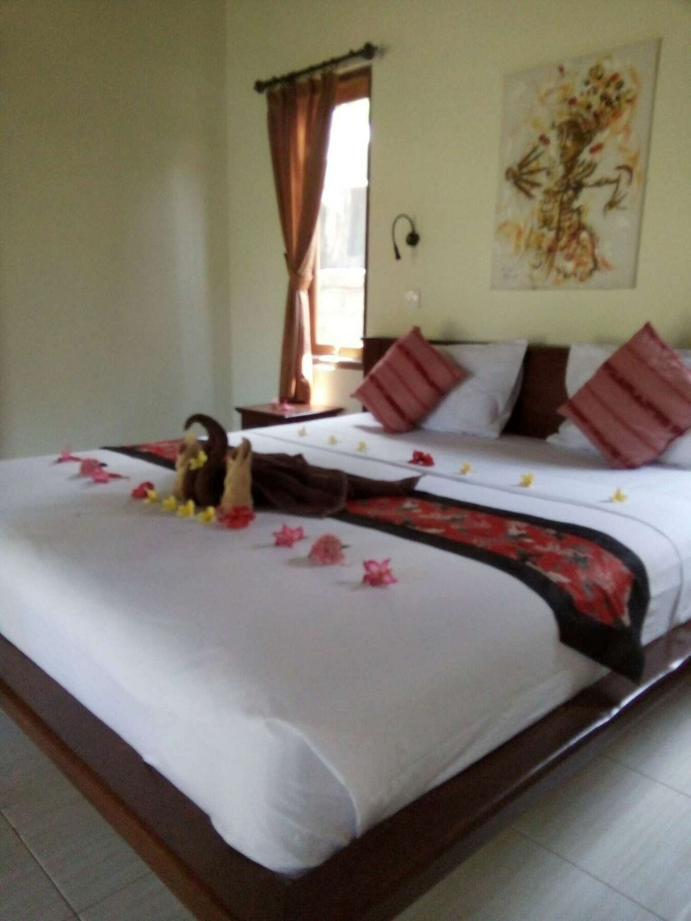 Biorock & Dive Center Homestay *