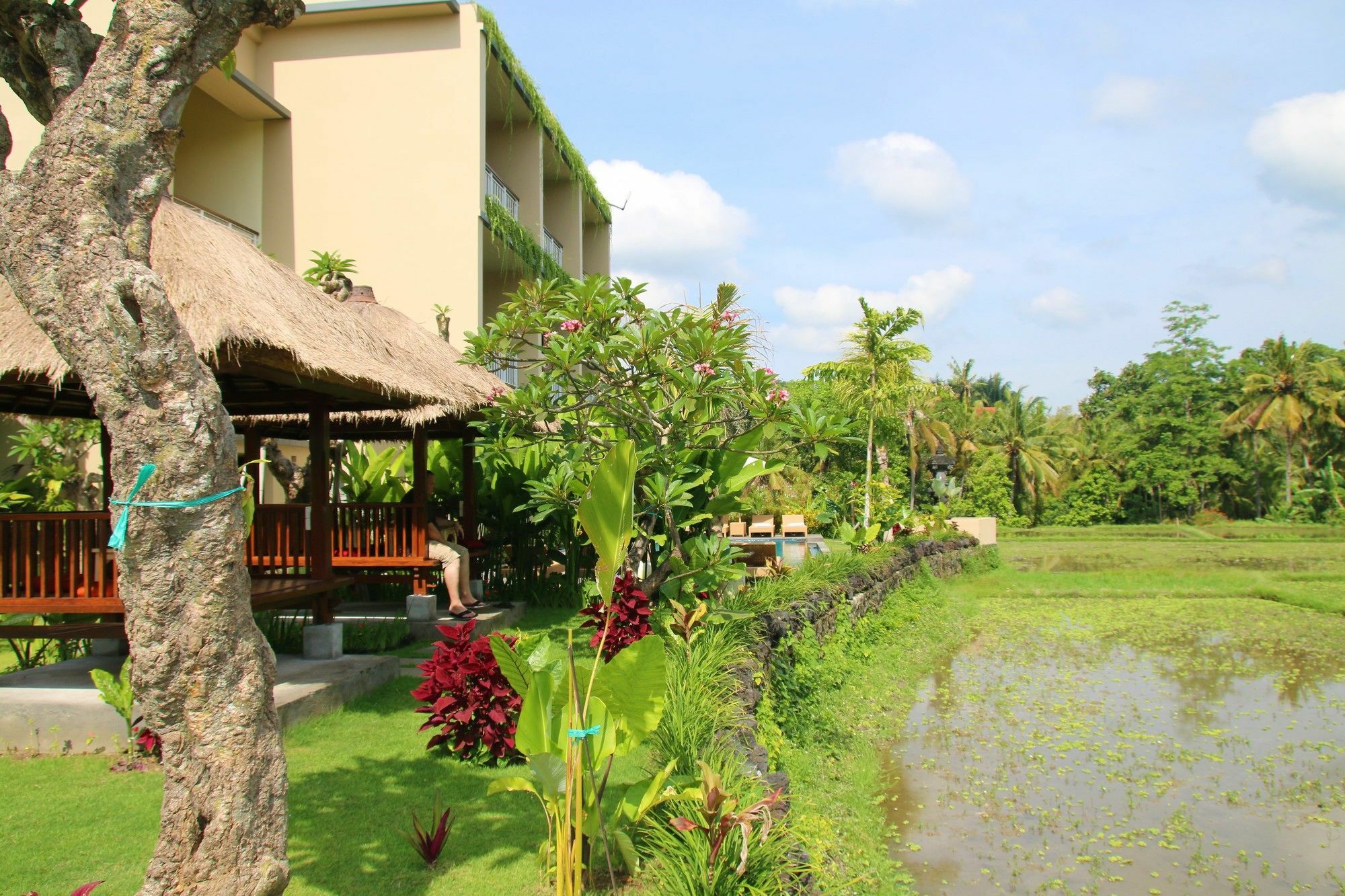 Byasa Guest house Ubud (Bali)
