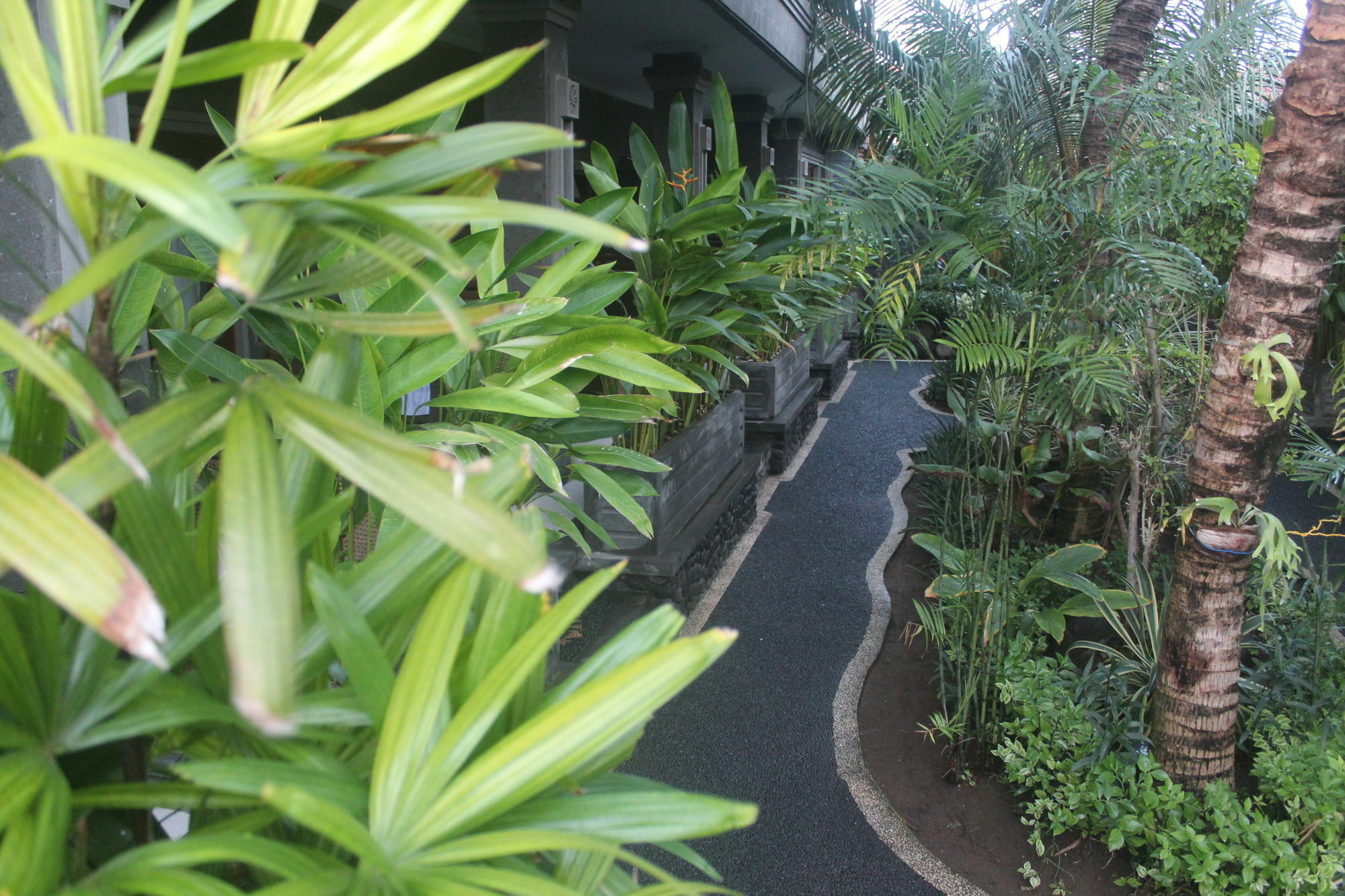 Letos Kubu Homestay Homestay Kuta (Bali)