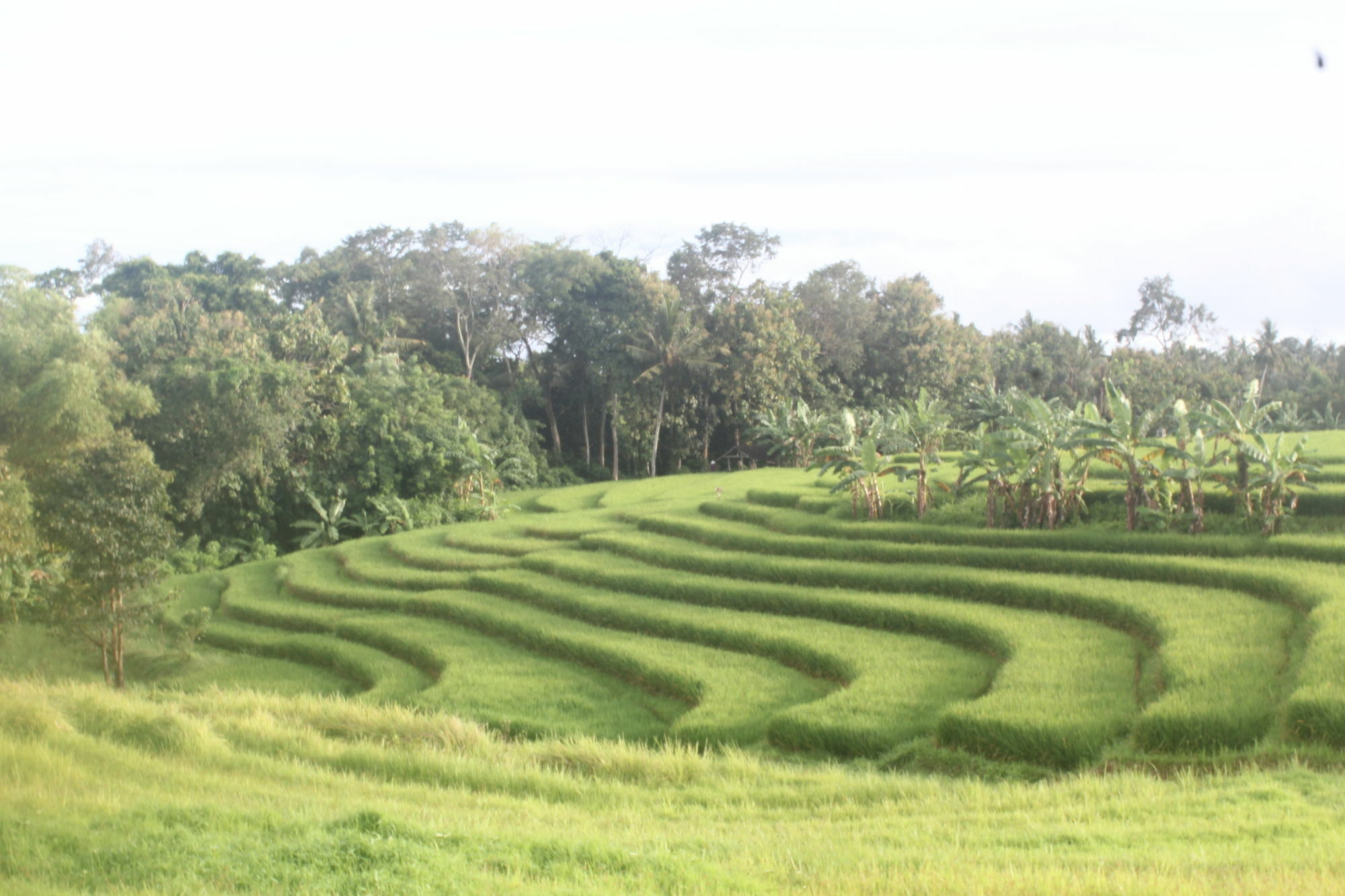 Nyanyi Sanctuary By Ini Vie Hospitality Kuta (Bali)
