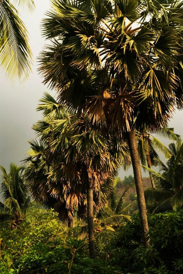 Hotel Gaia-oasis Mountain Abasan