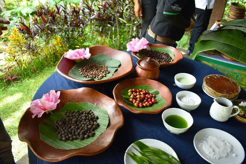 Resor Bagus Agro Pelaga 3*