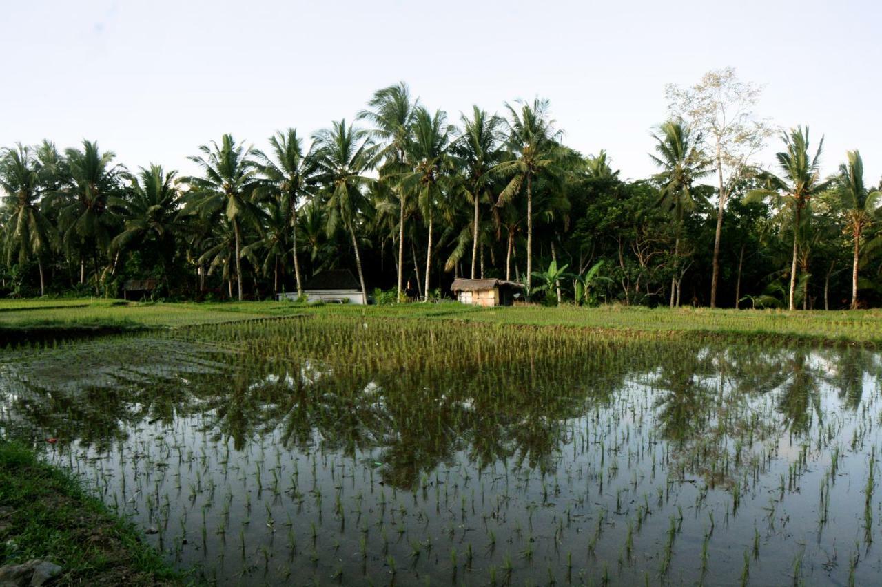 Artist Eco In Bali Villa