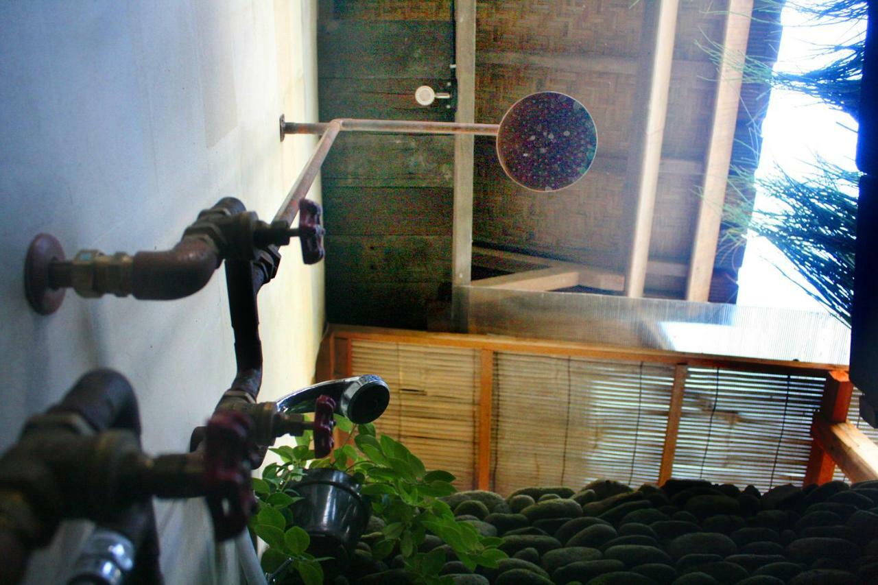 Artist Eco In Bali Ubud (Bali)