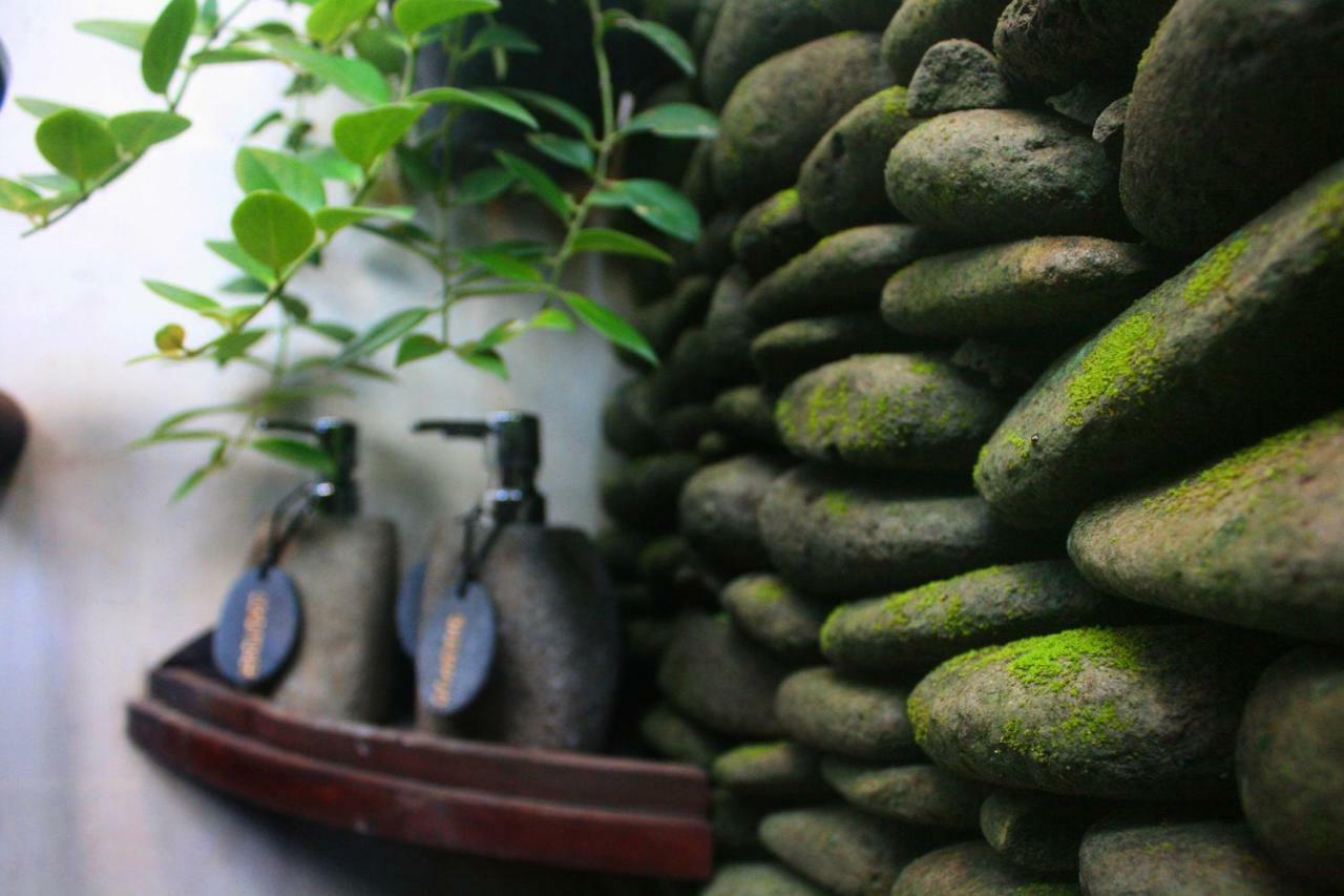 Artist Eco In Bali Villa Ubud (Bali)
