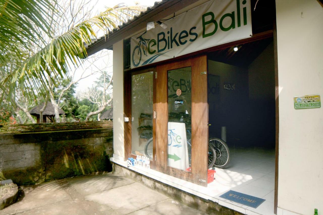 Villa Artist Eco In Bali *