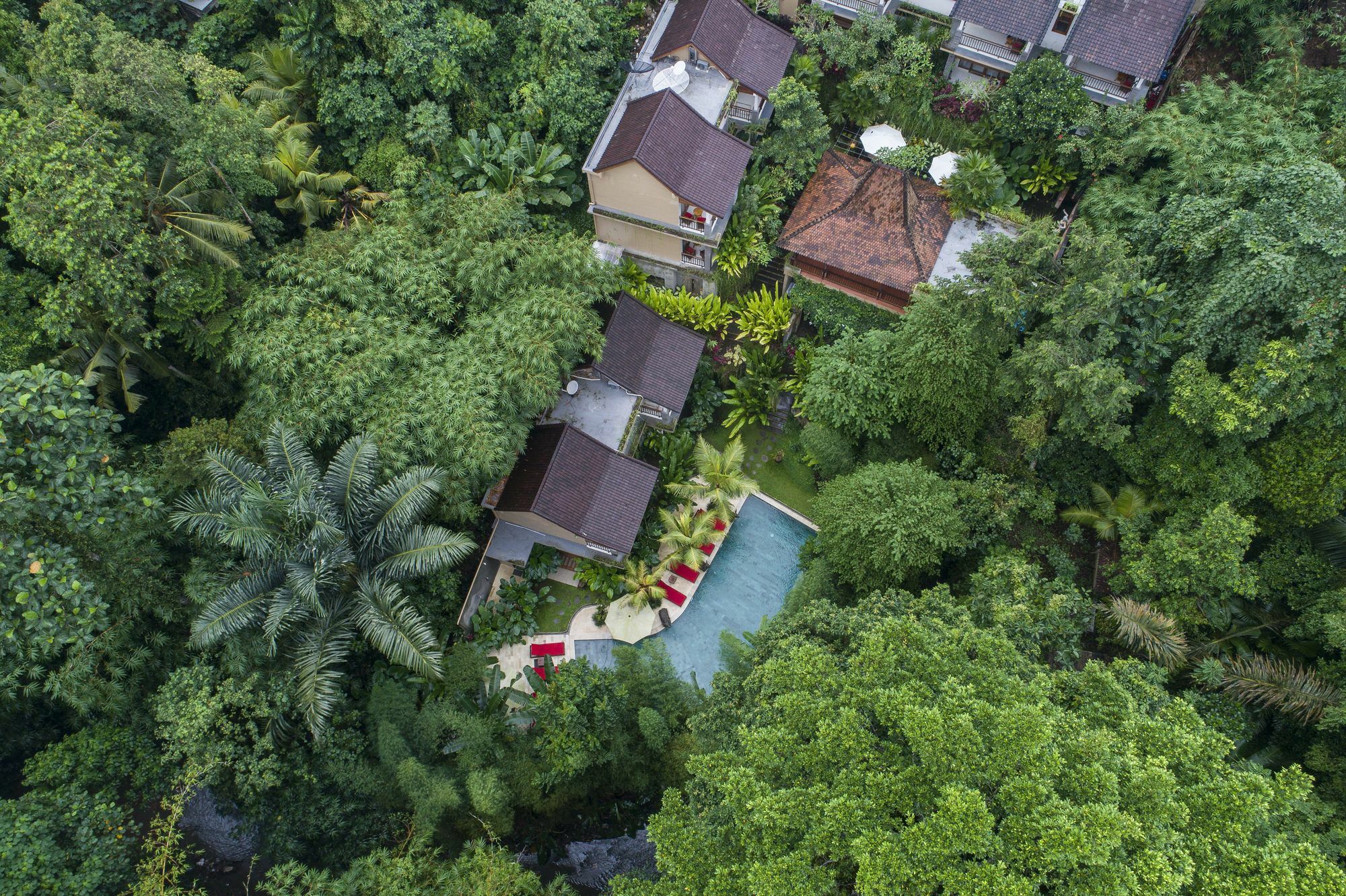 Jungle Haven Guest house