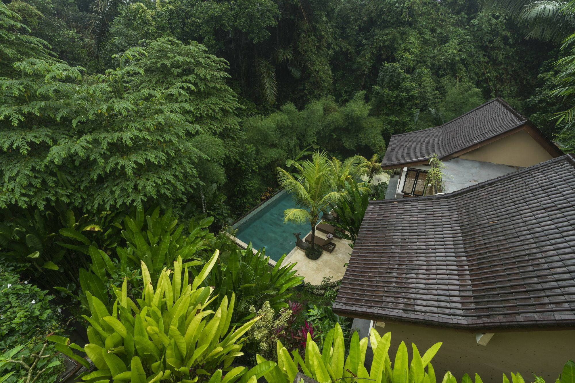 Jungle Haven 3*
