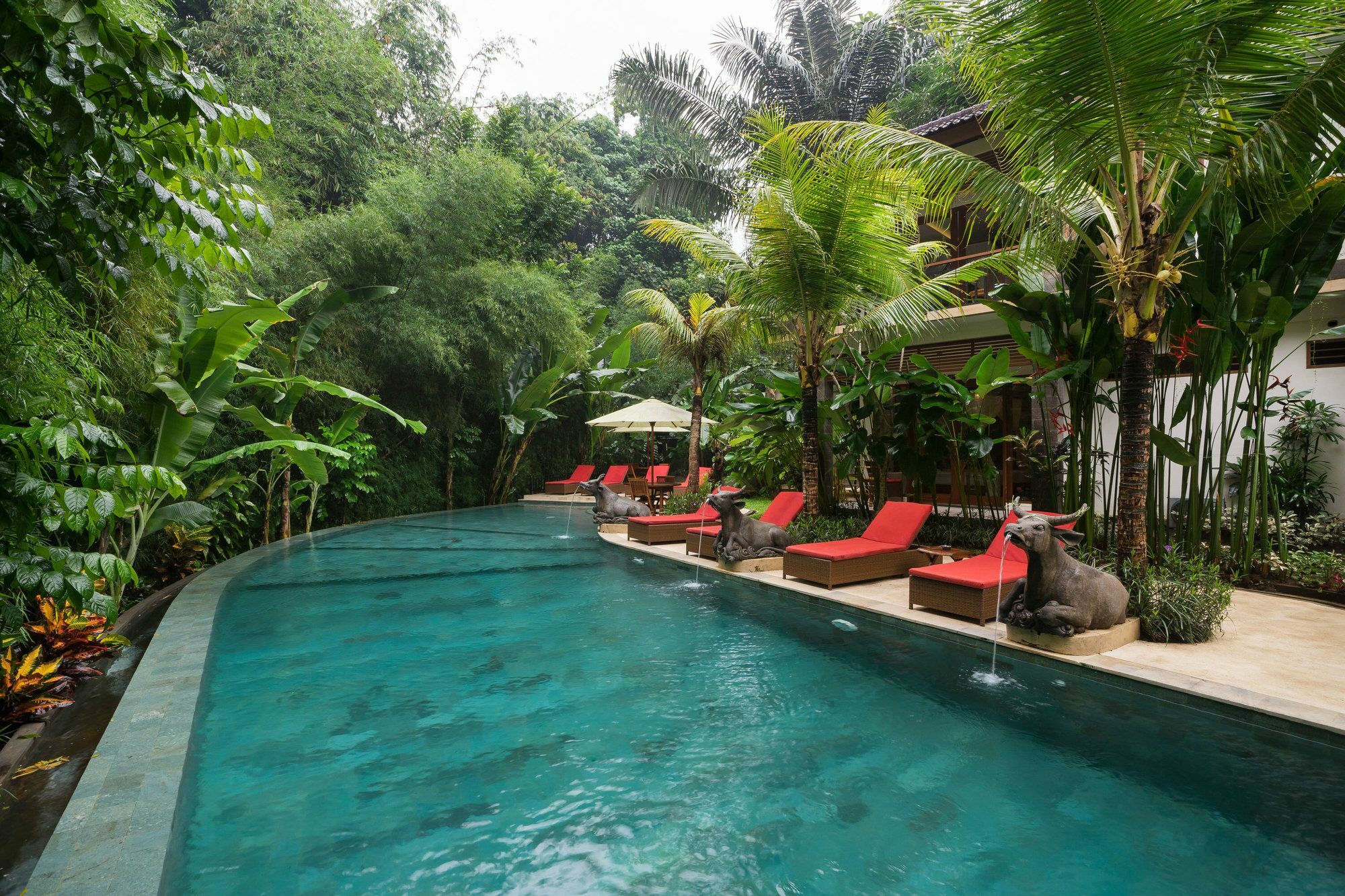 Jungle Haven 3*