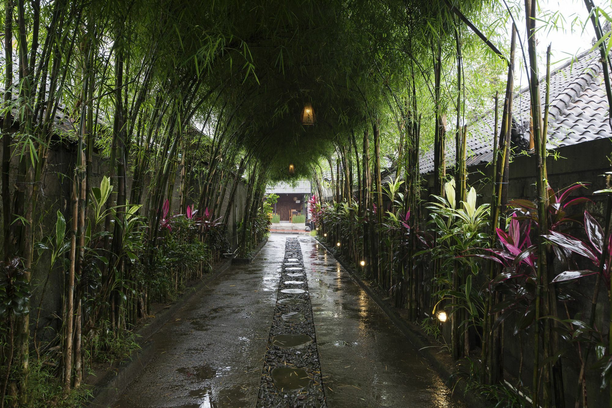 Jungle Haven Guest house