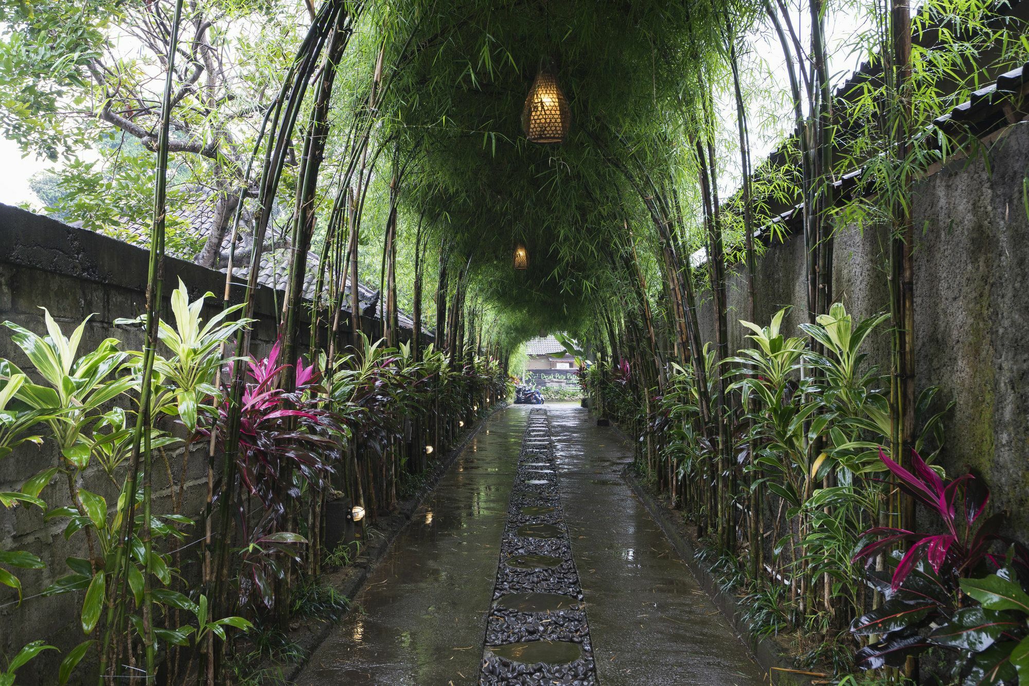 Jungle Haven Guest house 3*