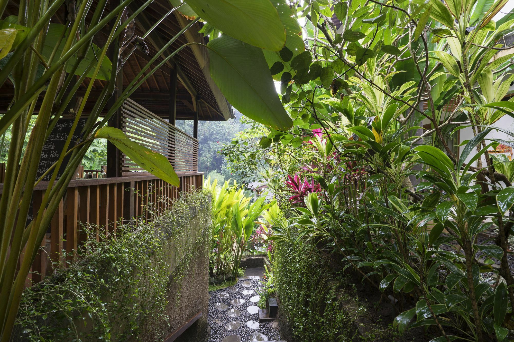 Guest house Jungle Haven