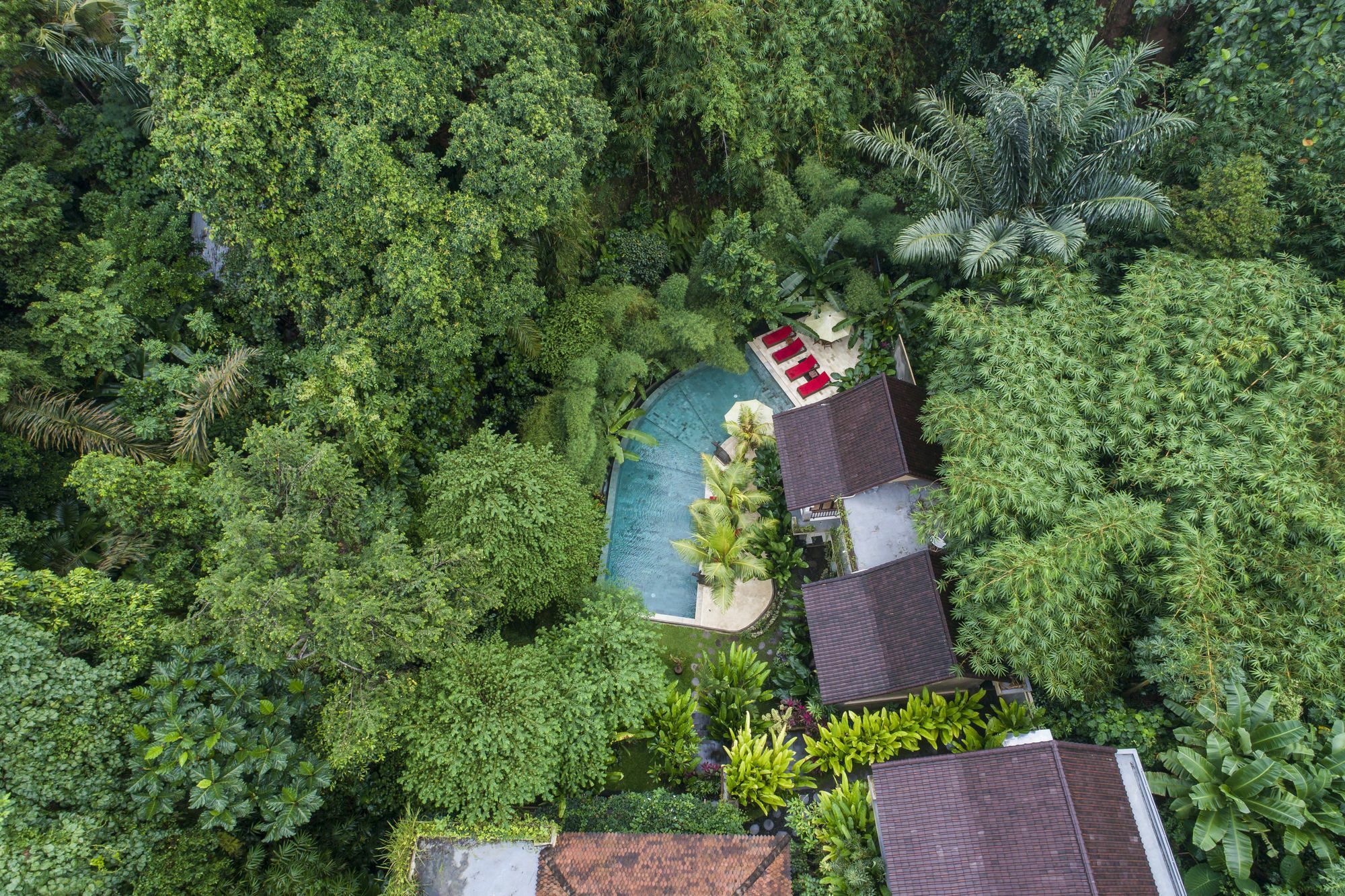 Jungle Haven 3* Ubud (Bali)