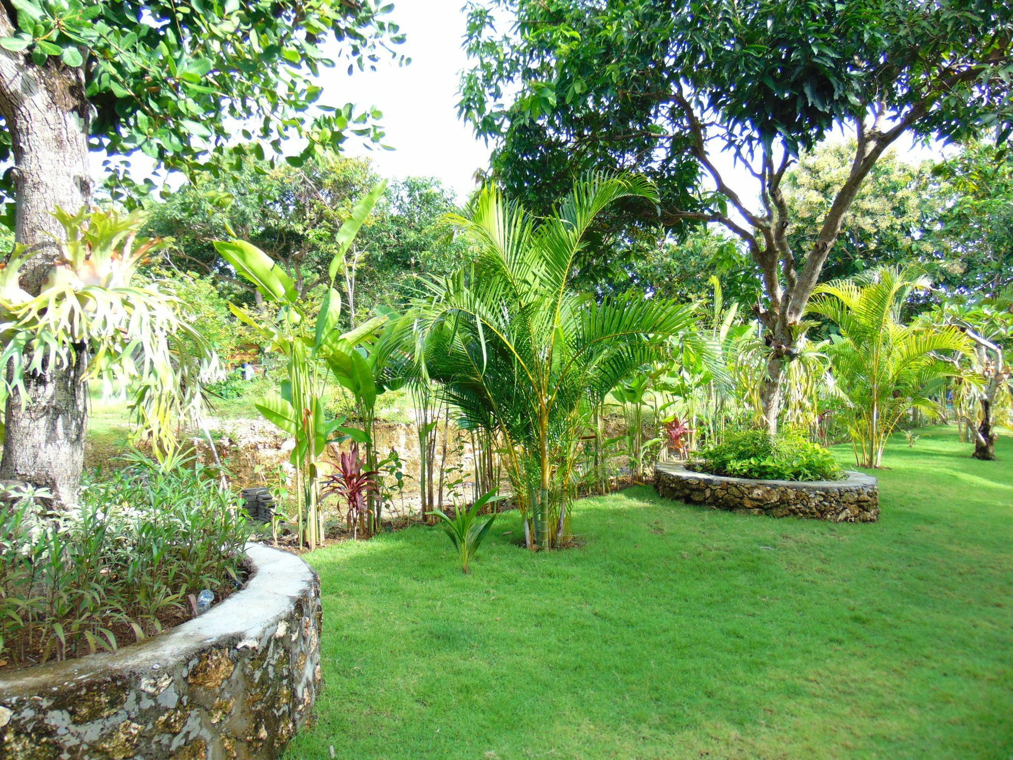 Homestay Arumanis Pecatu (Bali)