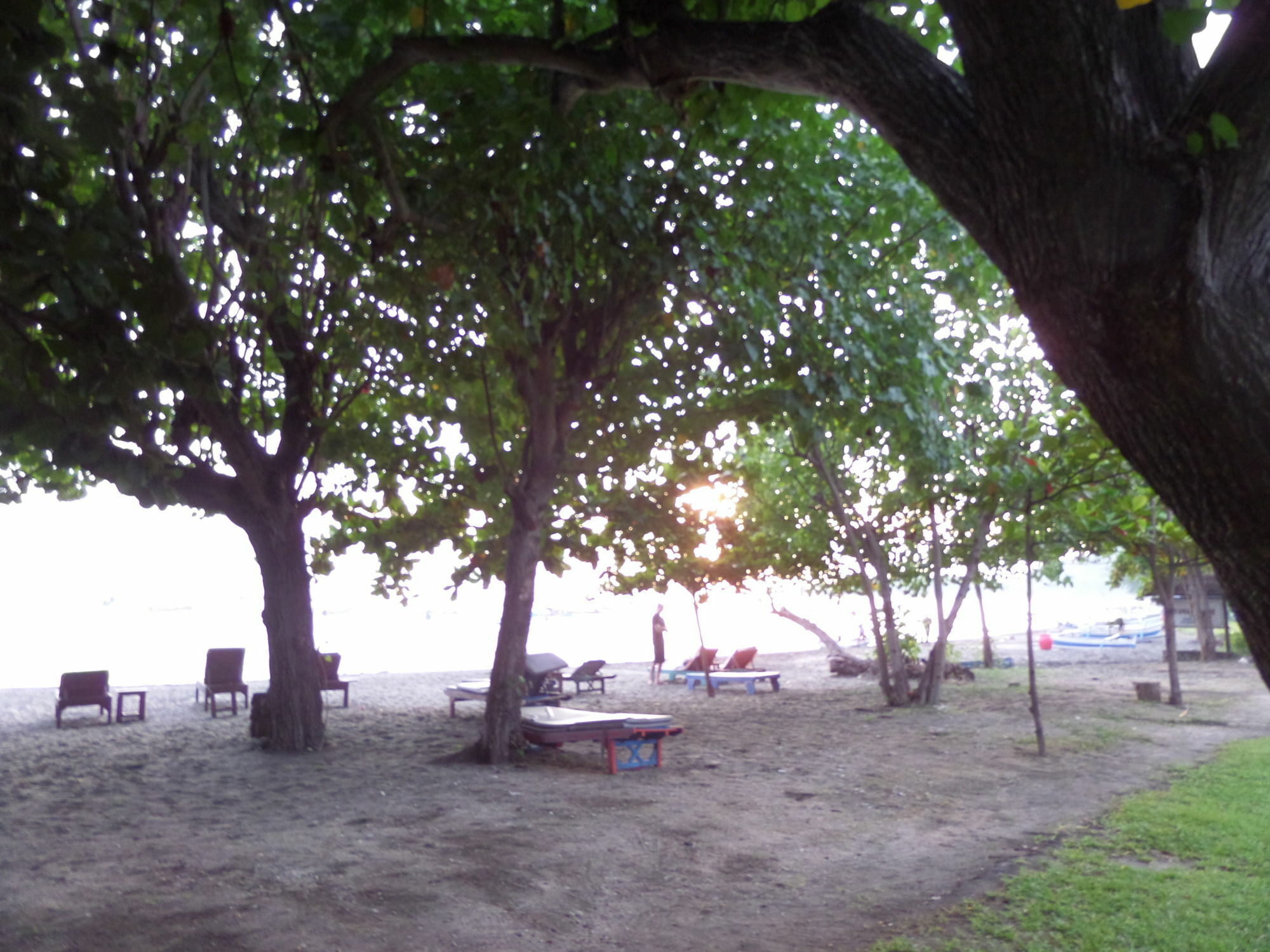 Taman Selini Wahana 3* Pemuteran (Bali)