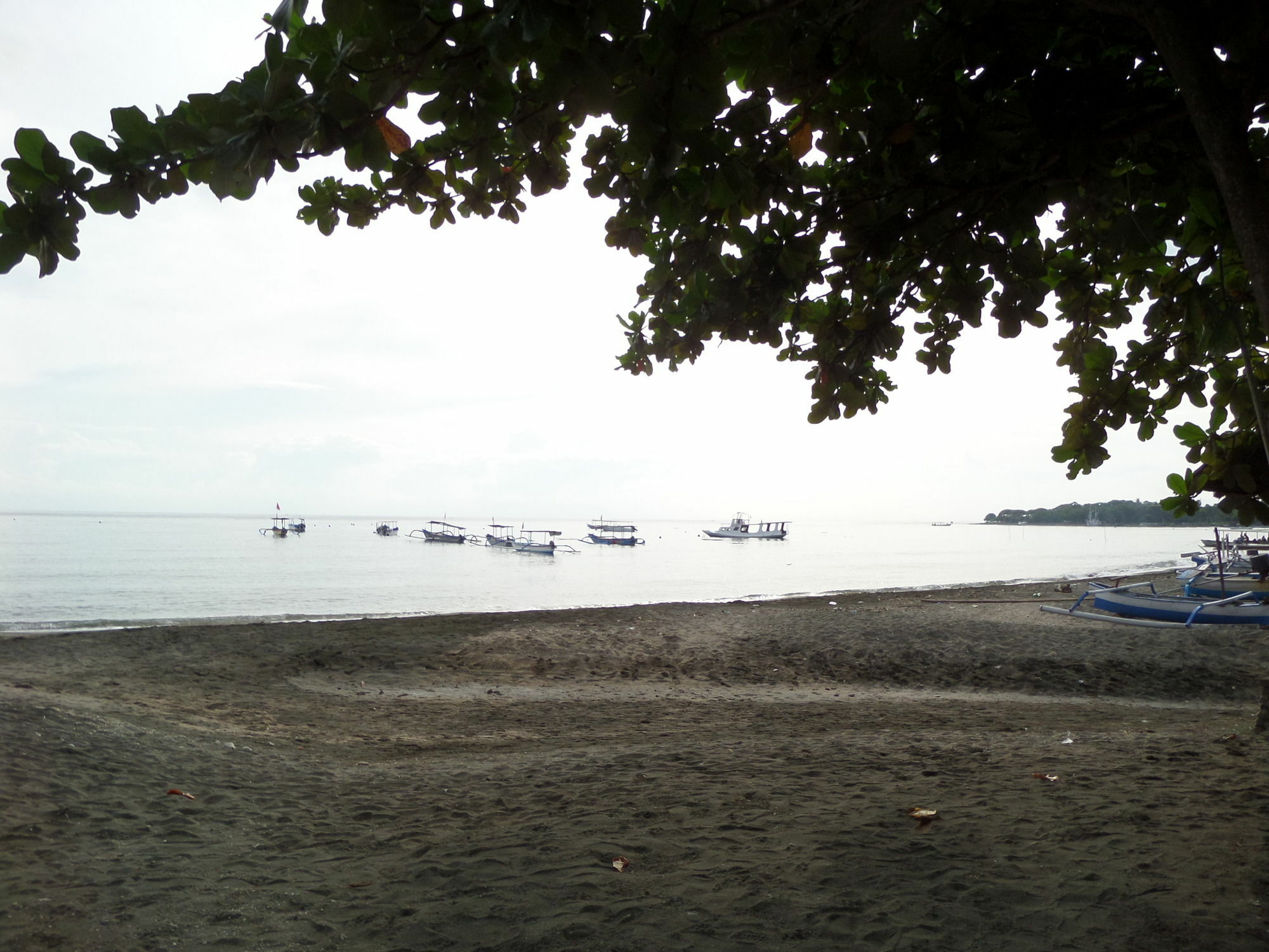 Taman Selini Wahana Holiday park Pemuteran (Bali)