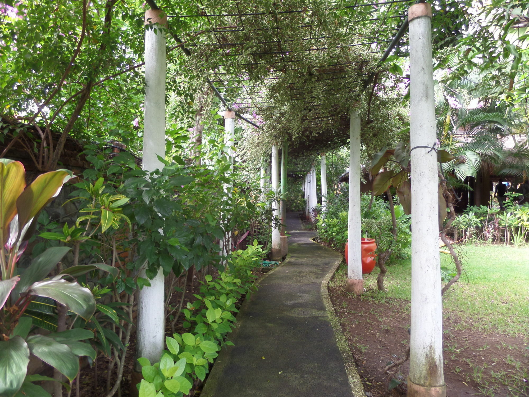 Taman Selini Wahana Pemuteran (Bali)